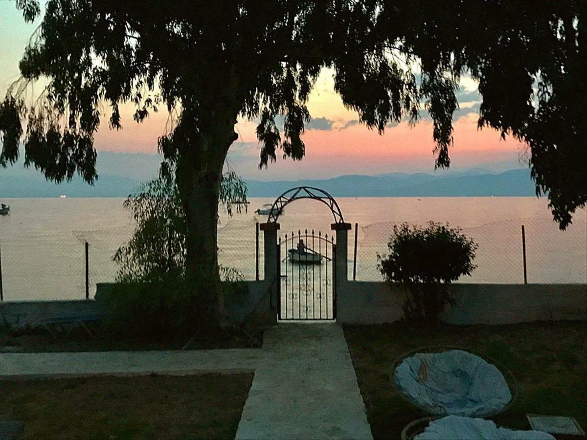 Lemami Seafront Bungalows Kávosz Kültér fotó
